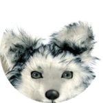 Ryo